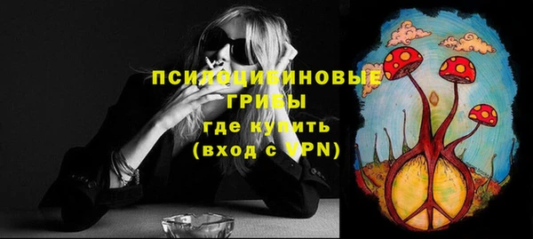 ECSTASY Верея