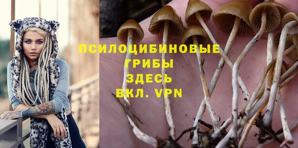 соль ск Верхнеуральск