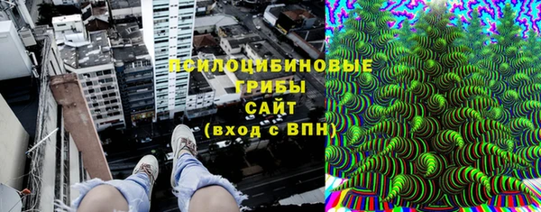 apvp Верхний Тагил