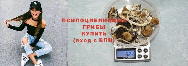 apvp Верхний Тагил